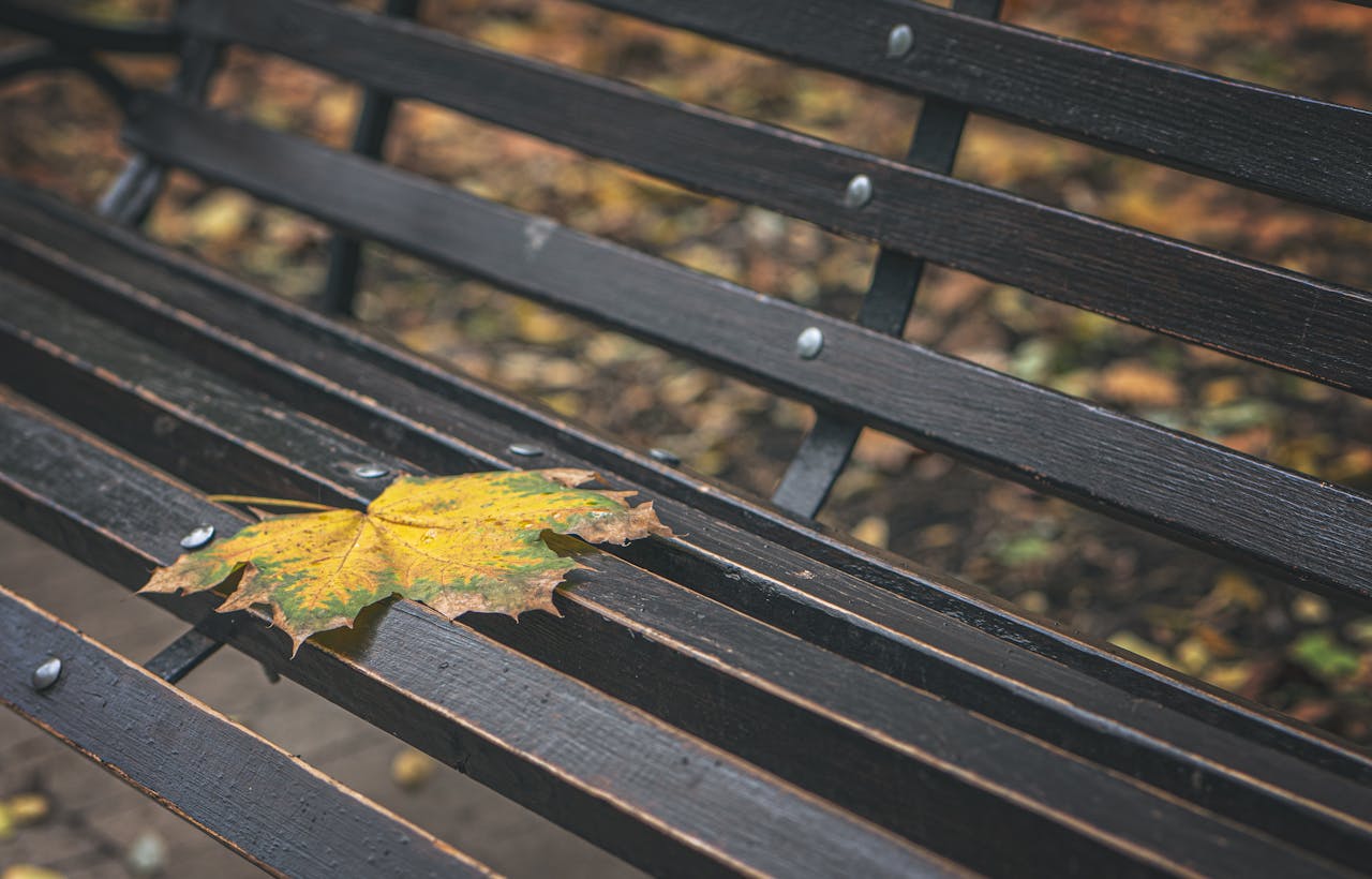 Accompagement du deuil : trouver un espace pour soi