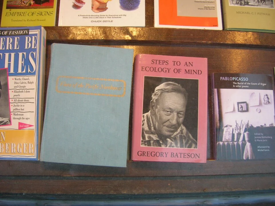 Gregory Bateson : penser en boucles plutôt qu’en causes